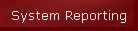 System Reporting